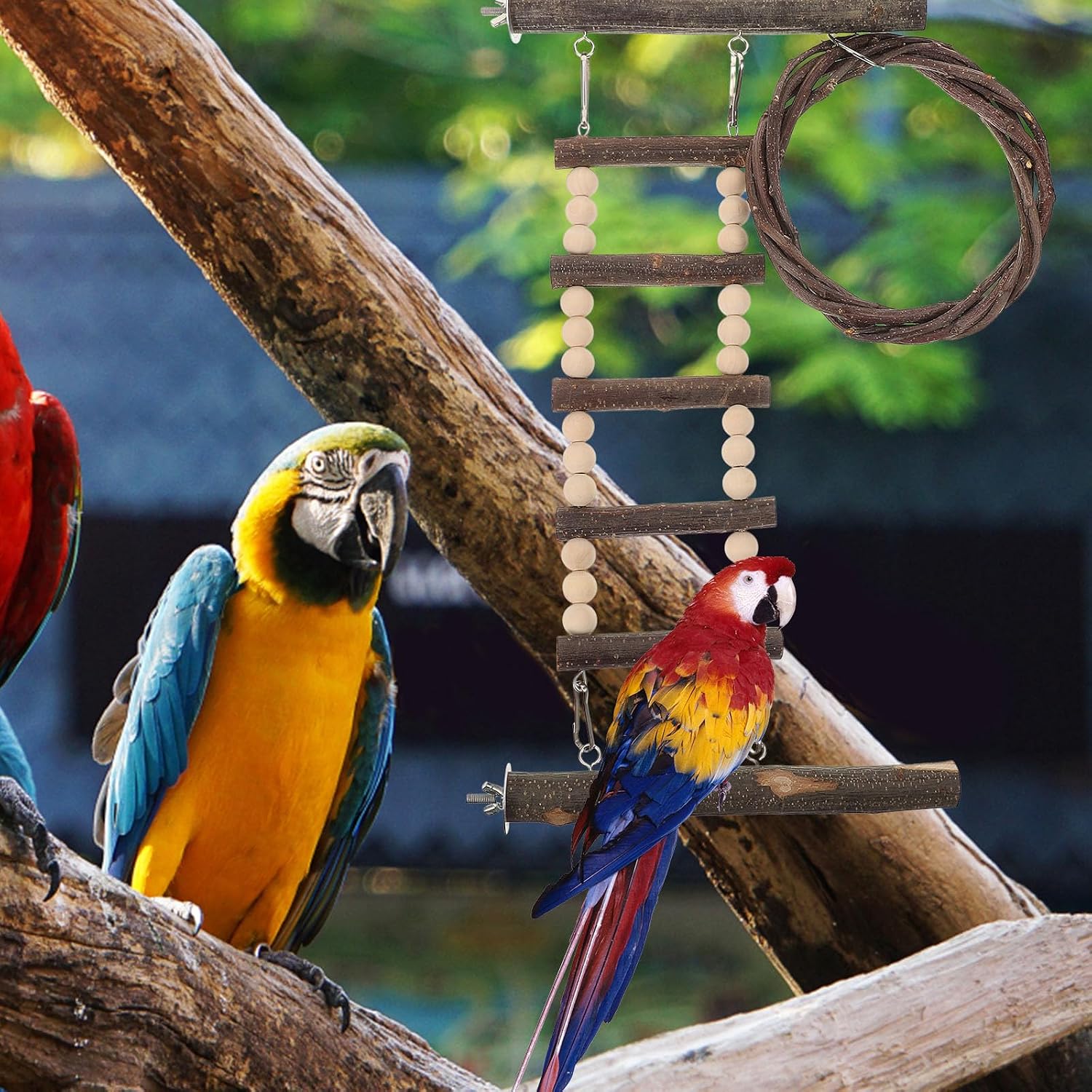 Parrot Step Ladder and Wooden Climbing Perch Set with Swing, Natural Wood Bird Training Ladder for Parakeets and Small Birds Cage Accessories