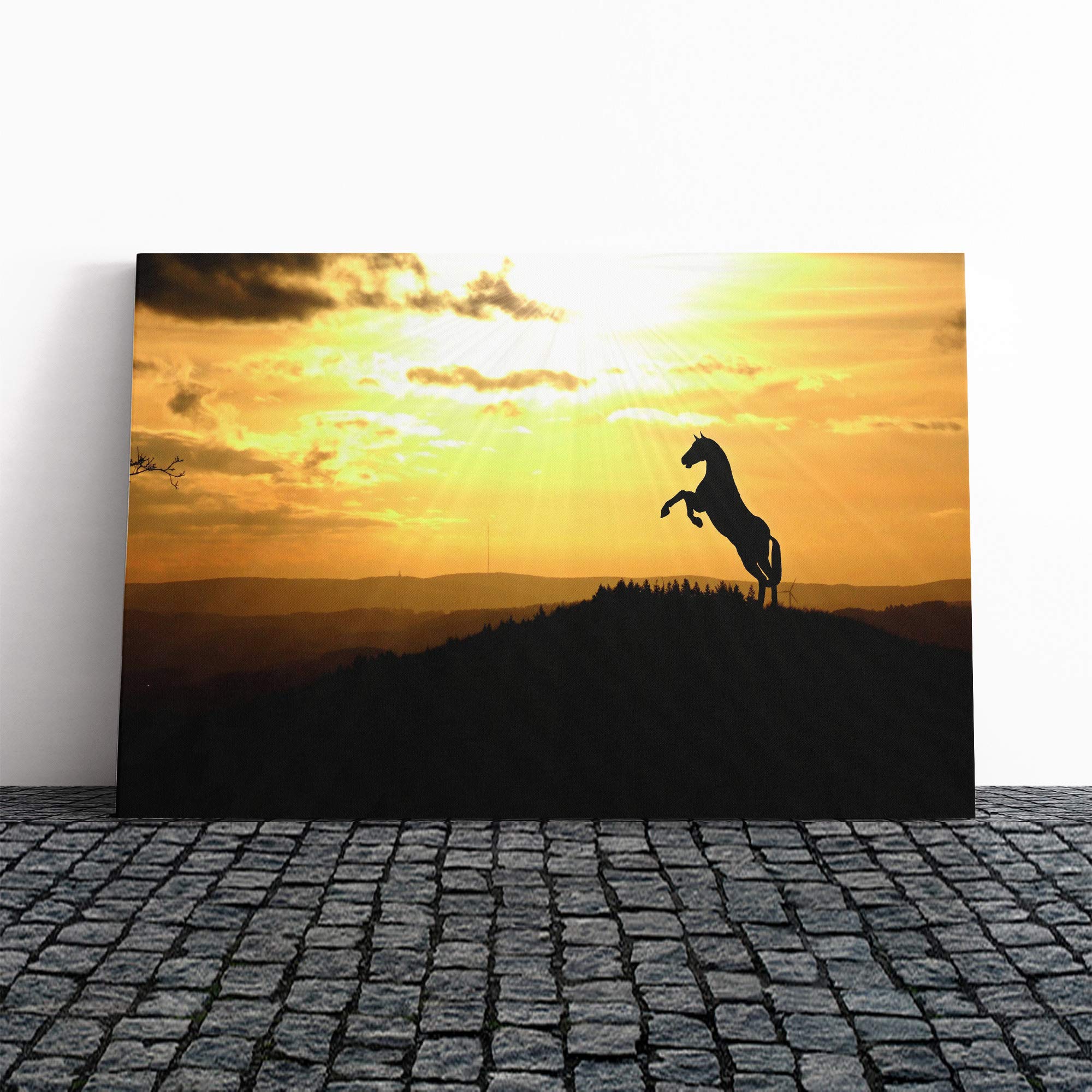 Horse in Sunlight Landscape Canvas Print | Gallery Wrapped 30mm Frame Wall Art | 30x20 inches | Ready to Hang | Modern Animals Picture | Living Room Bedroom Lounge Office