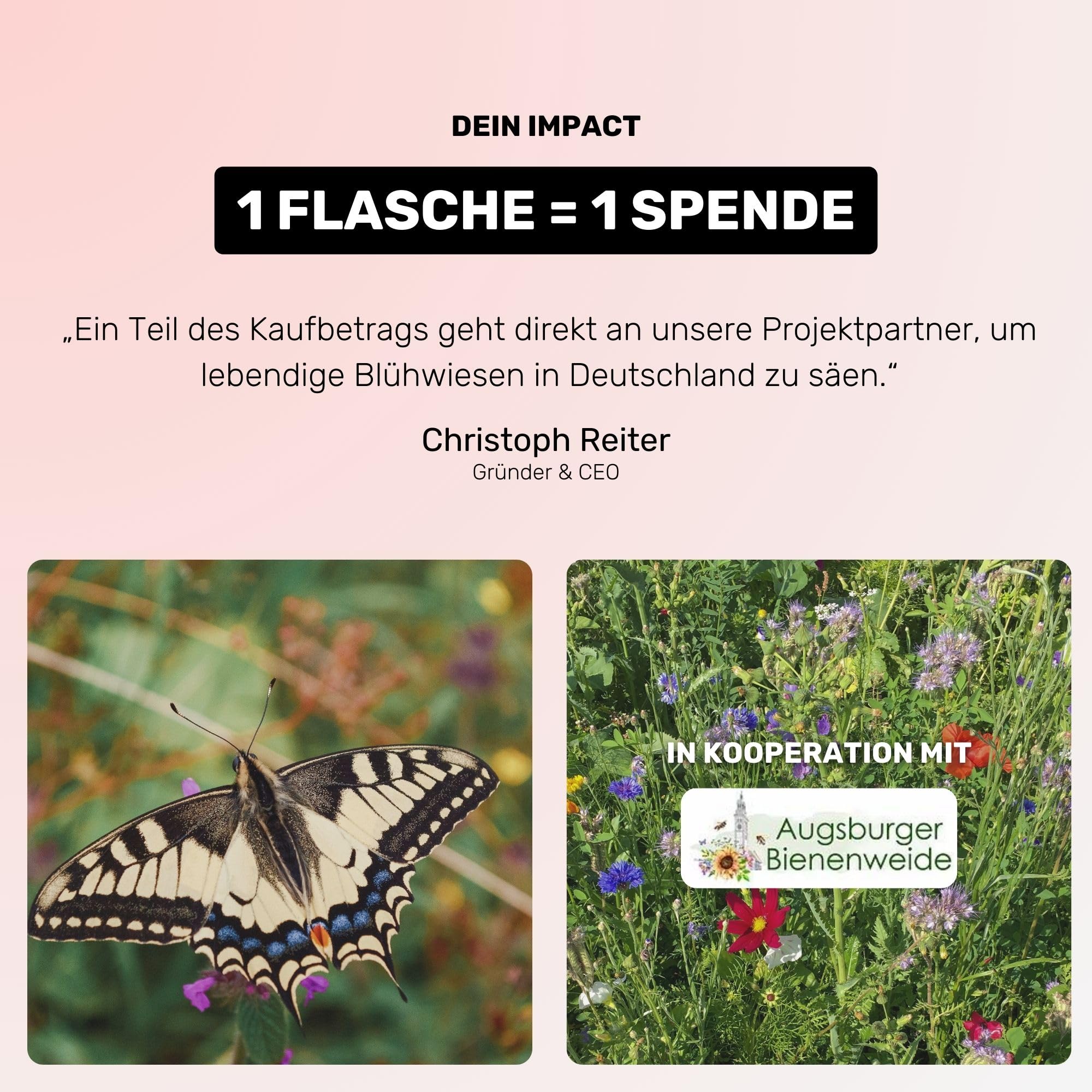 FairGrapes Rosé »Viola« | 90 Punkte Falstaff | VDP.Gutswein | Roséwein Trocken | Erdbeere & Waldfrüchte | Geschenkidee (12 x 0.75 l)