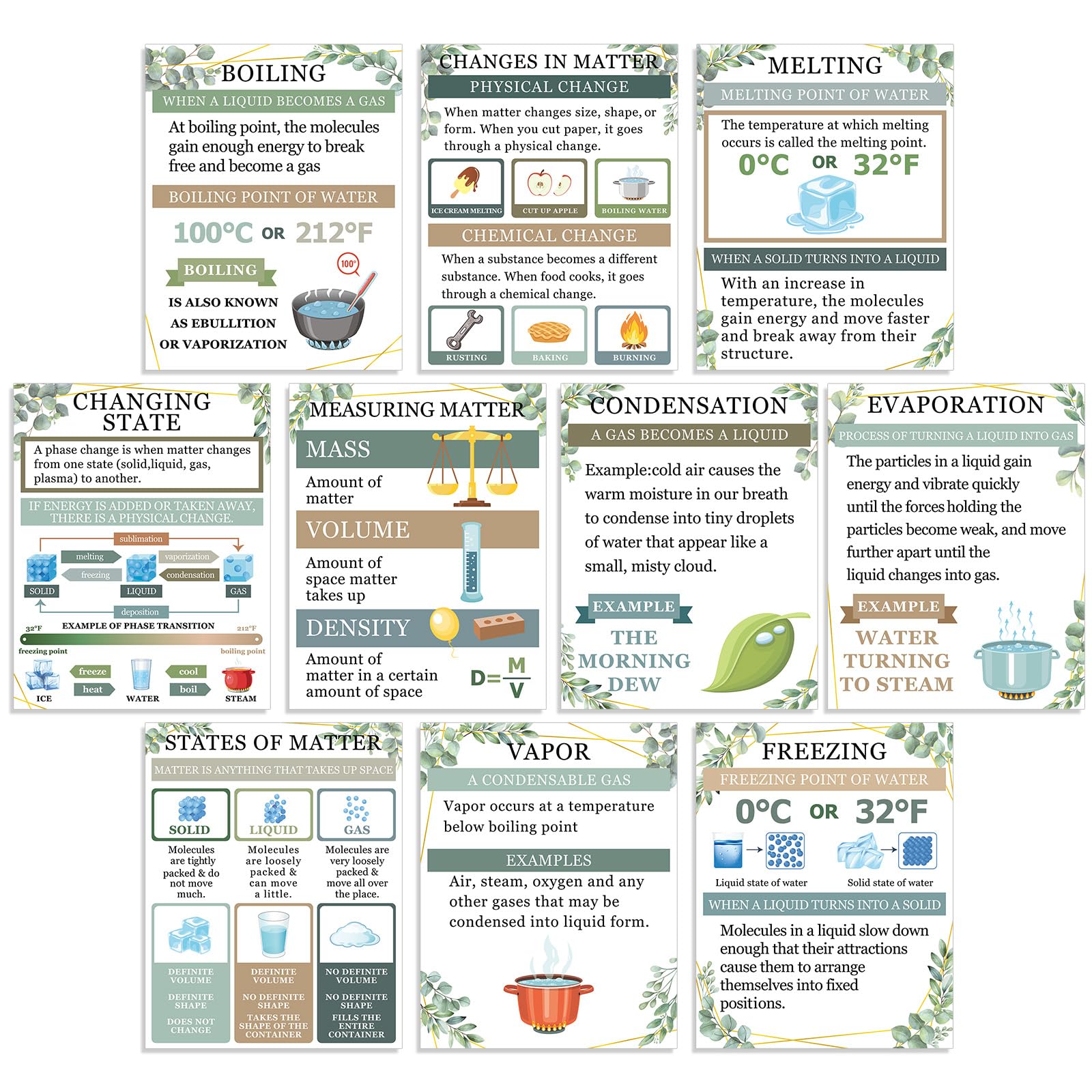 Yiaoyinnz 10Pcs Science Posters Greenery STEM Classroom Decorations Eucalyptus Leaf Chemistry Matter Mass Poster Anchor Charts Physics Educational Bulletin Board for Middle High School Wall Supplies