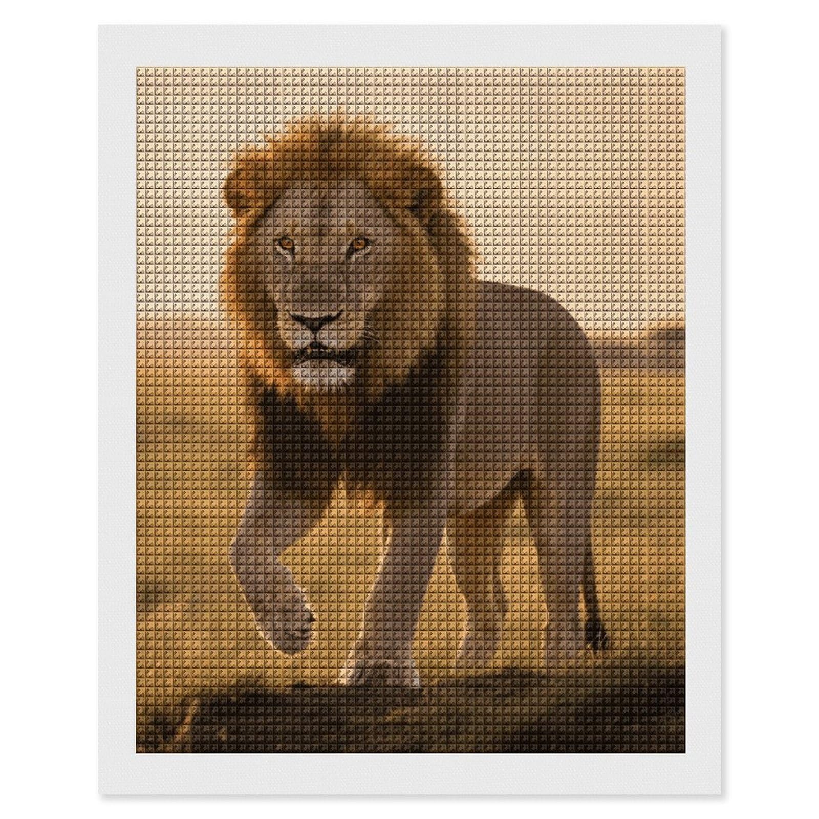 FodPand Grassland Lion 5D Diamond Painting Kits for Adults Beginners Full Drill Square Diamond Dots Pictures Gem Art Supplies for Home Wall Room Decoration DIY Craft Set Gift 16x20