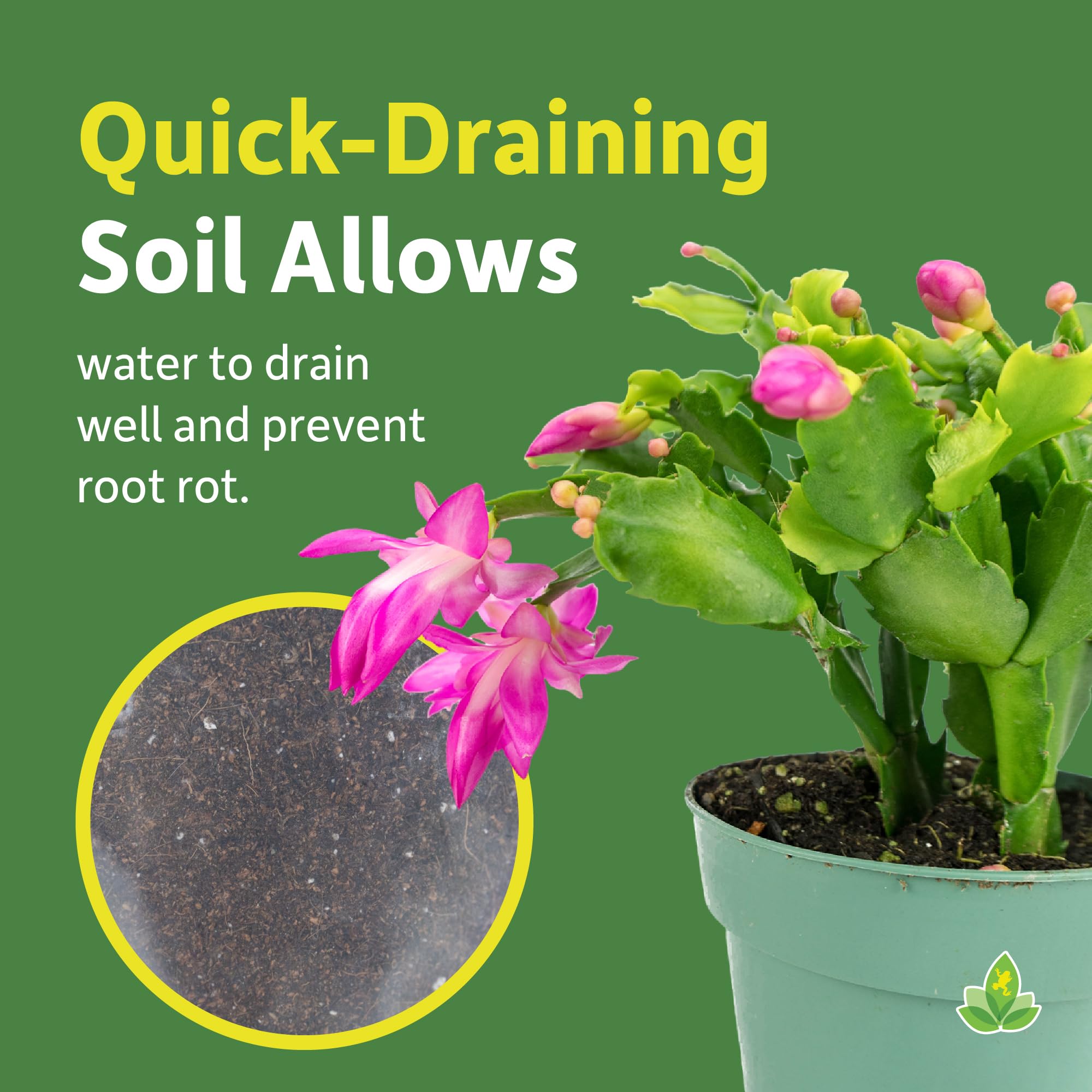 Amazon.com : Josh's Frogs Holiday/Christmas Cactus Soil (1 Quart) : Patio,  Lawn & Garden