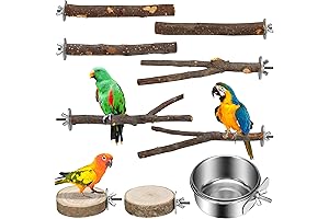 Versatile & Safe Bird Perches: The Perfect Perching Paradise for Your Parakeets