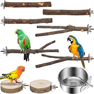 KaKaPops Perches Parrot Accessories Cockatiels