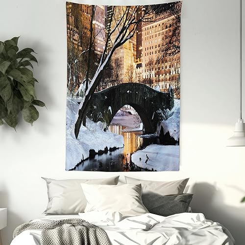 Miniatura 7 de Ambesonne Tapiz de Nueva York, Panorama del Parque Central de Manhattan de la ciudad de Nueva York en puente de invierno, lago congelado al
