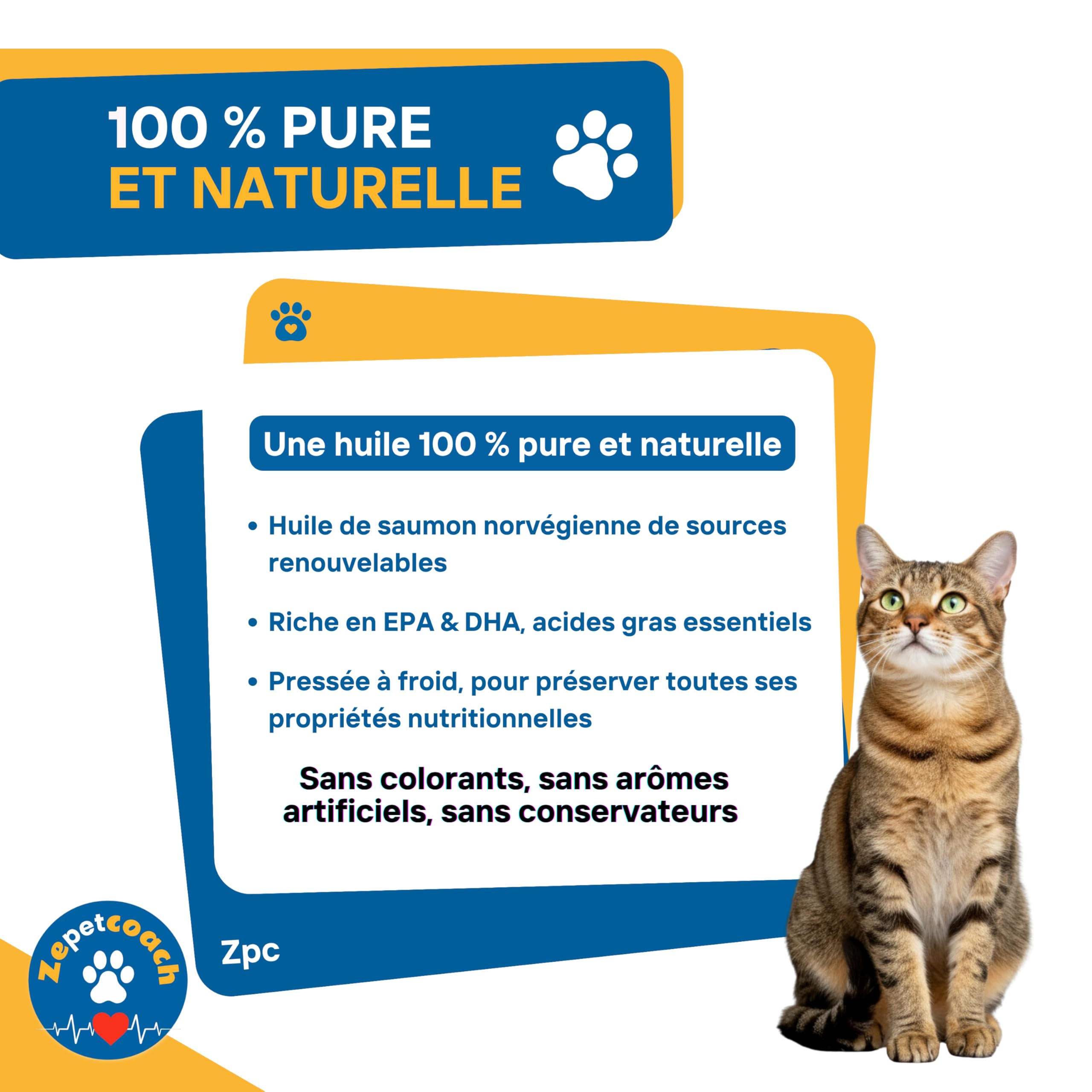 Huile de Saumon Sauvage pour Chien & Chat - Oméga 3 & 6 Naturel - Soutien Pelage Brillant, Mobilité Articulaire & Vitalité - 500 ML
