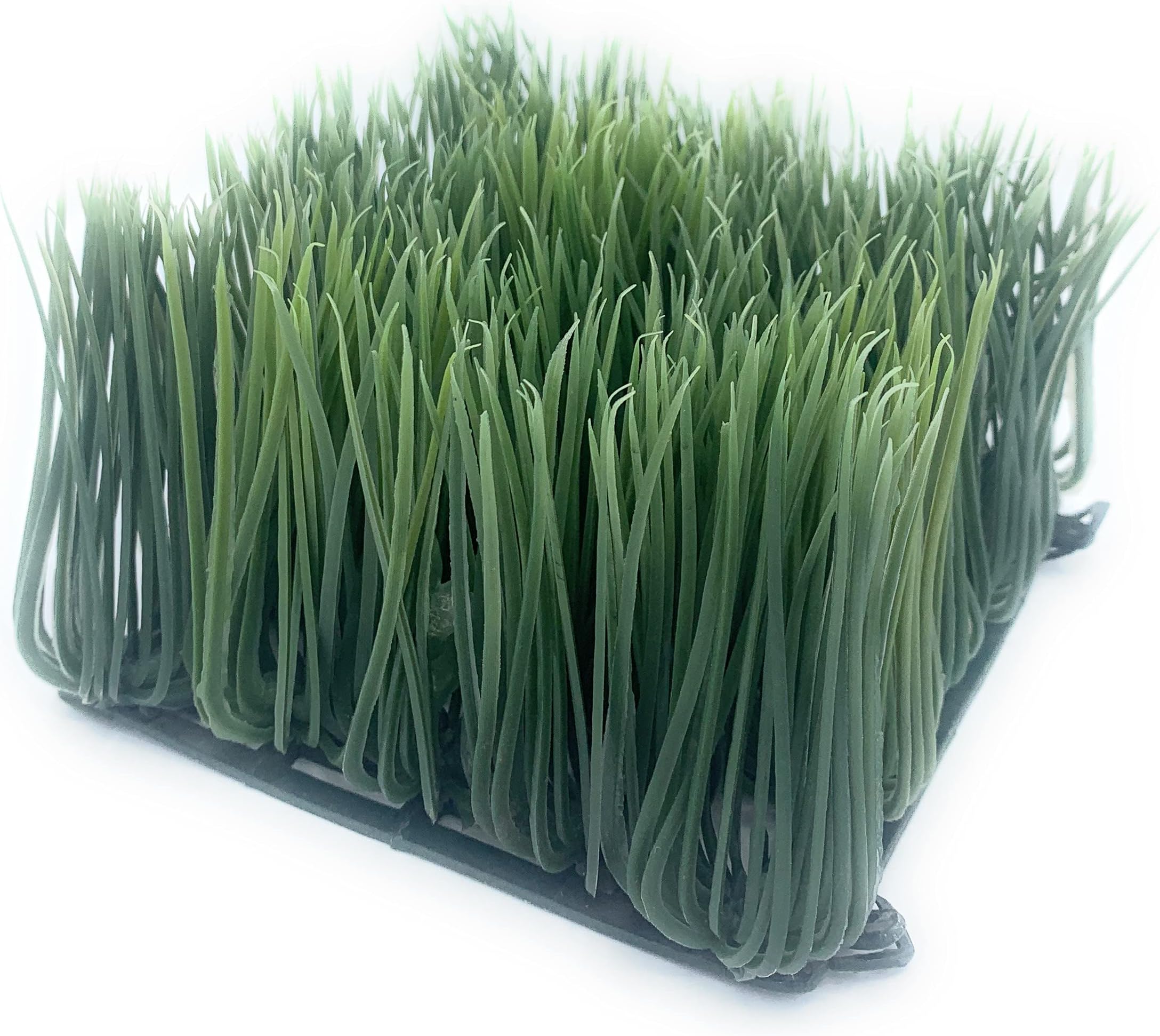 Artificial Wheat Grass- Fake Soft PVC Plastic Decorative Wheatgrass: Ornamantal Flower Arranging & Home Decor - 6"x6"x4"