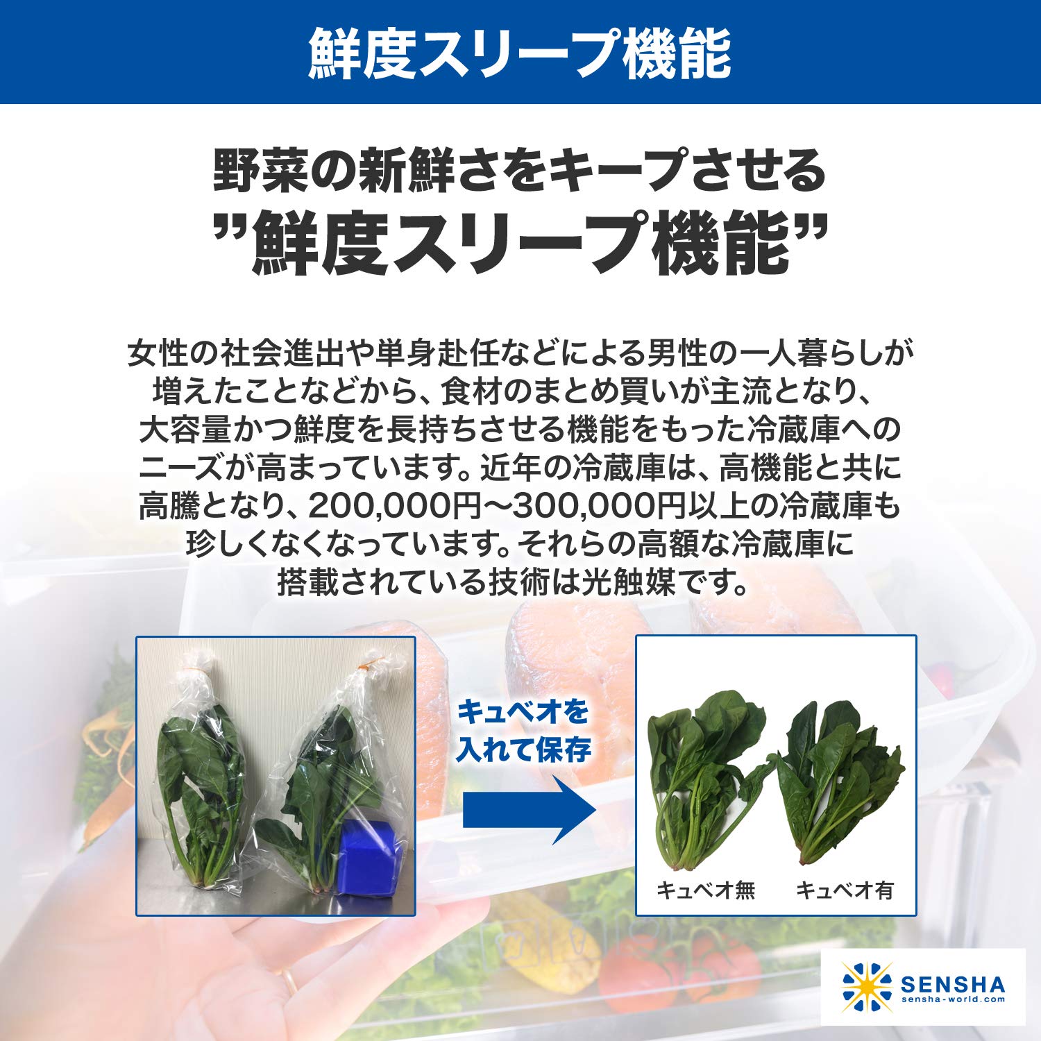 Amazon.co.jp: 洗車の王国 効果持続!様々なイヤな匂いを無力化 Amazon.co.jp: 洗車の王国 効果持続!様々なイヤな匂いを無力化