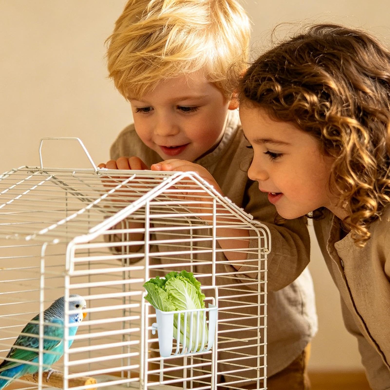 Mangiatoia per gabbie – Cestino di alimentazione anti-versamento 4 pezzi per – Mangiatoia per verdure speciale a coccolea, calopsittes conures canaris fringuelli inseparabili interni esterni