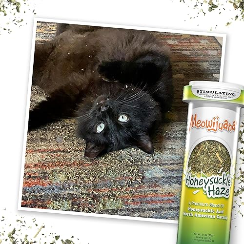 Miniatura 54 de Meowijuana Paquete de fresa Get Sprung Juguete de fresa recargable y mezcla de hierba gatera Happy Grass Promueve el juego y la salud del gato