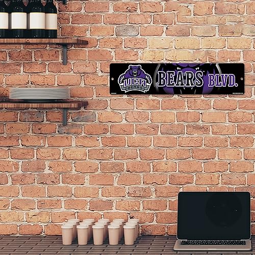 Vista 107 de Rico Industries Letrero de plástico de la NCAA de plástico de 4 x 16 pulgadas Alternativo