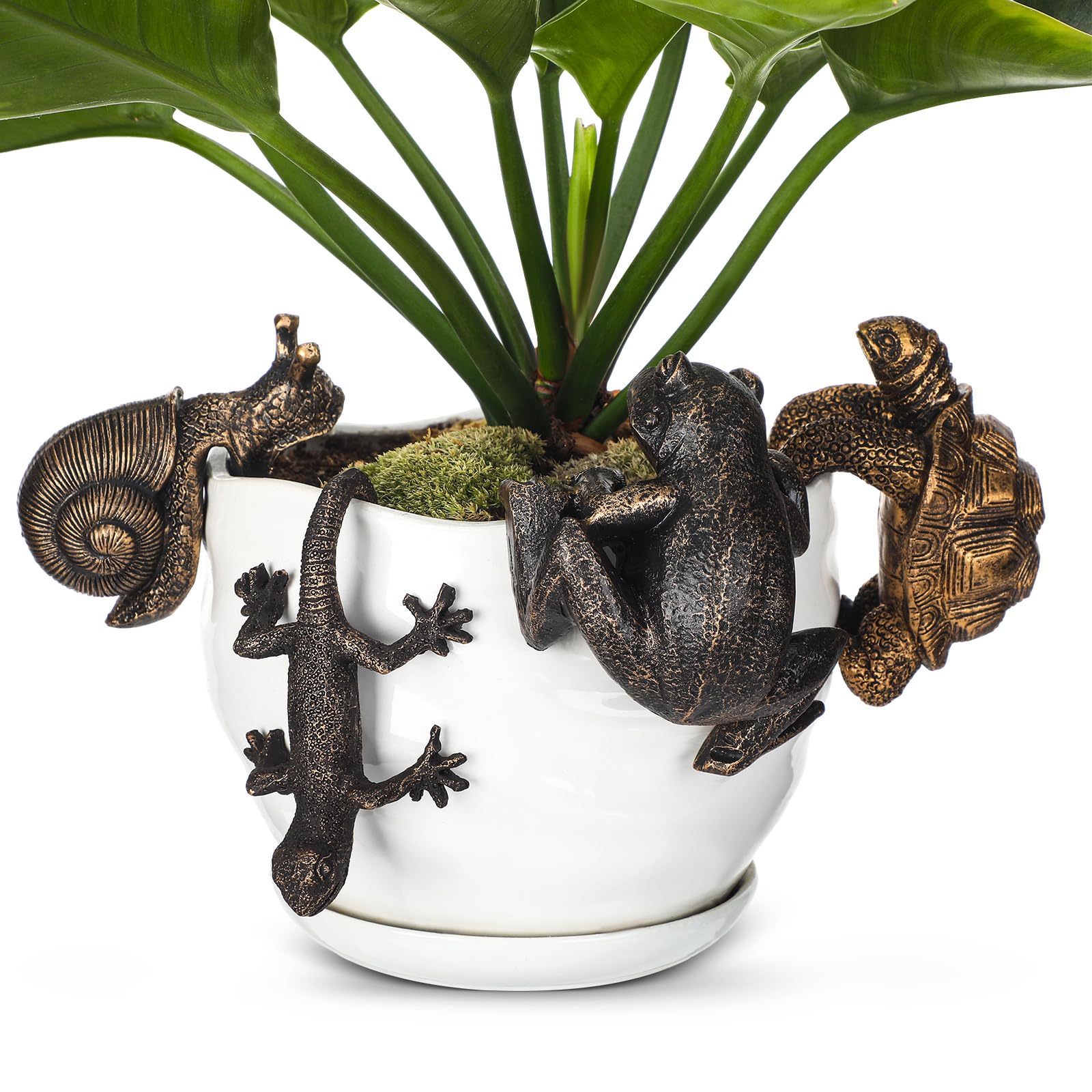 Vase miniature Weysat avec tortue et gecko en résine, le cadeau idéal pour amoureux de jardin