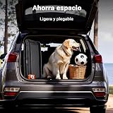 Ver la foto 6