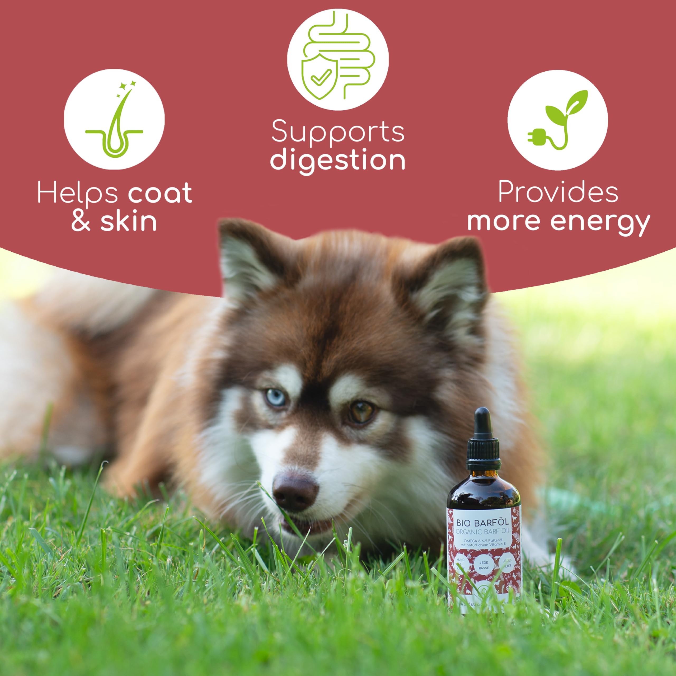 Olej Pokarmowy dla Psów 100ml – 100% Organiczny Olej BARF - Naturalny i Wegański - Z Oleju Lnionego, Wiesiołkowego, Oliwy z Oliwek, Pestek Dyni, Chia - Z Omega 3-6-9, DE-ÖKO-060