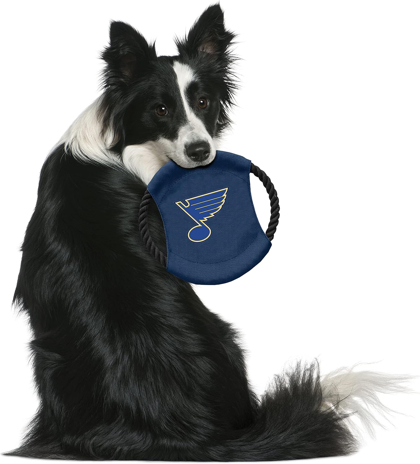 Littlearth NHL St. Louis Blues Sock Monkey and Flying Disc Pet Toy Combo Set, Team Color, One Size