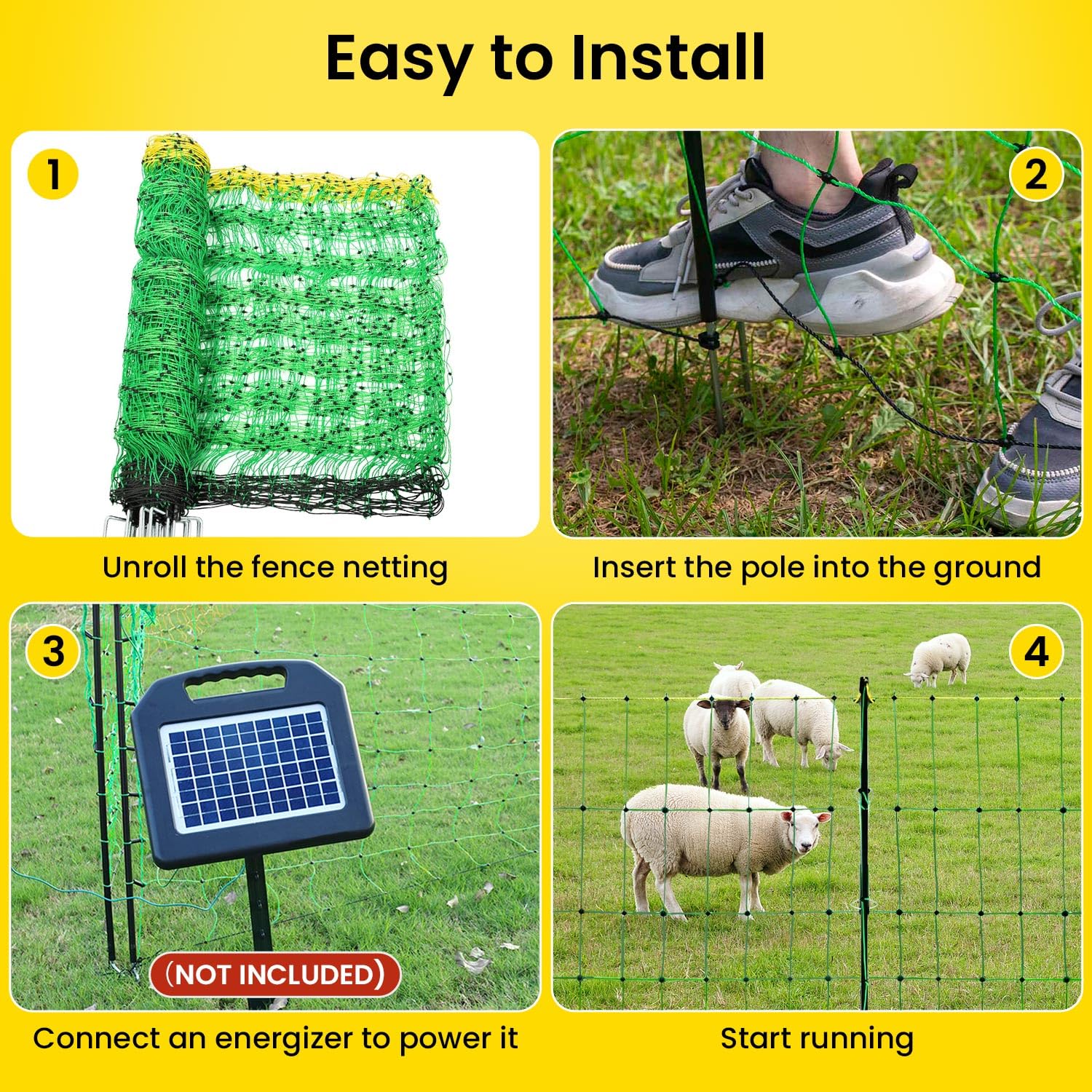 https://m.media-amazon.com/images/I/81EcXA0-8CL._SL1500_.jpg