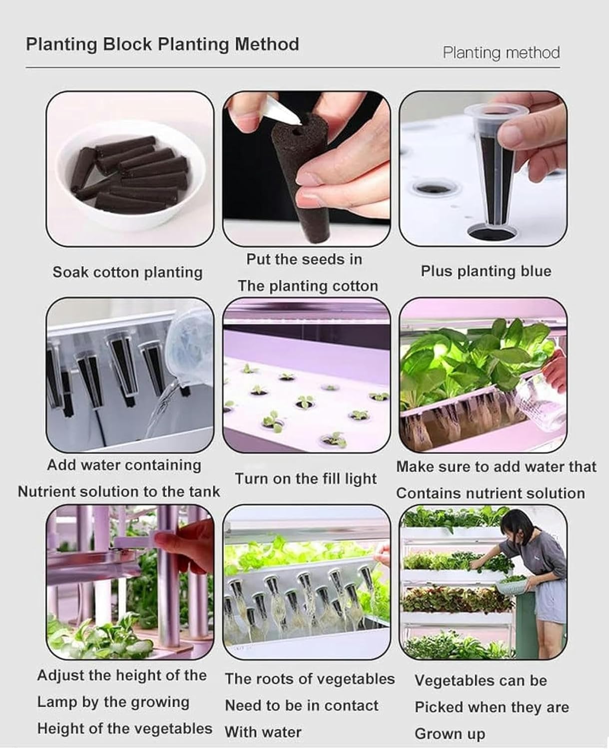 4 -Story Hydroponic Culture Game, Hydroponic Culture System, Hydroponic and Exterior Culture Kit with Moisturizing Pump Timer Adapter