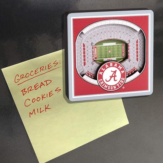 YouTheFan NCAA 3D StadiumView Magnet