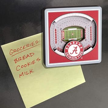 YouTheFan NCAA 3D StadiumView Magnet