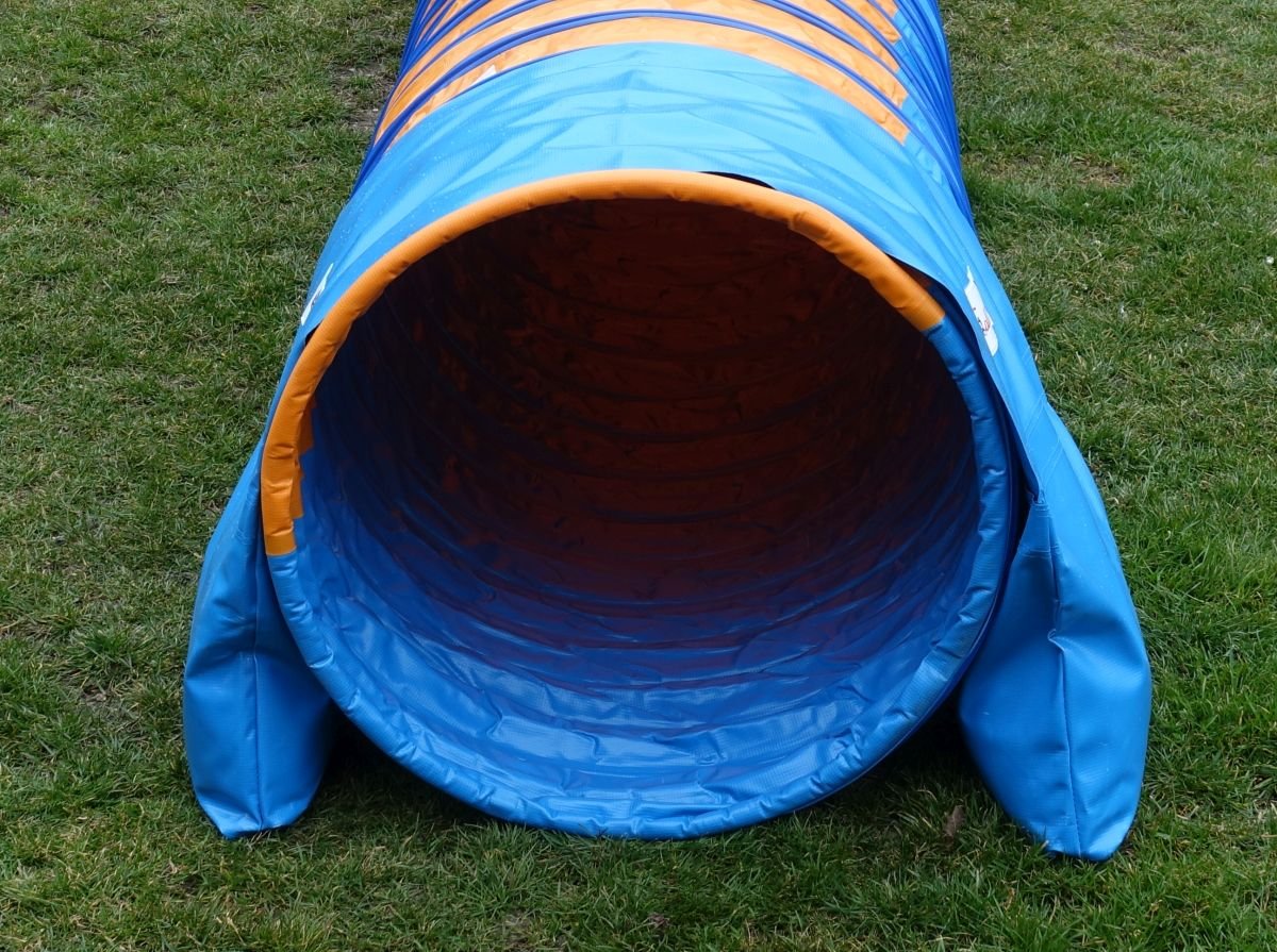 13 PASSATEMPI PER CANI PER TENERLI MENTALMENTE ATTIVI - Foto 2