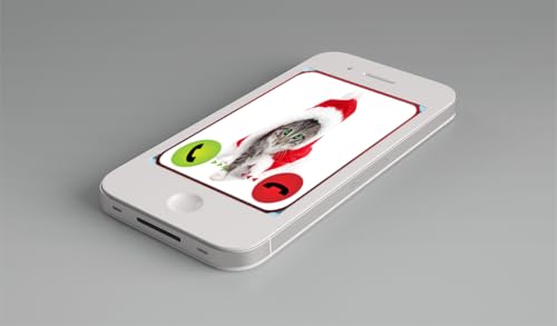 Fake Call From Christmas Cat