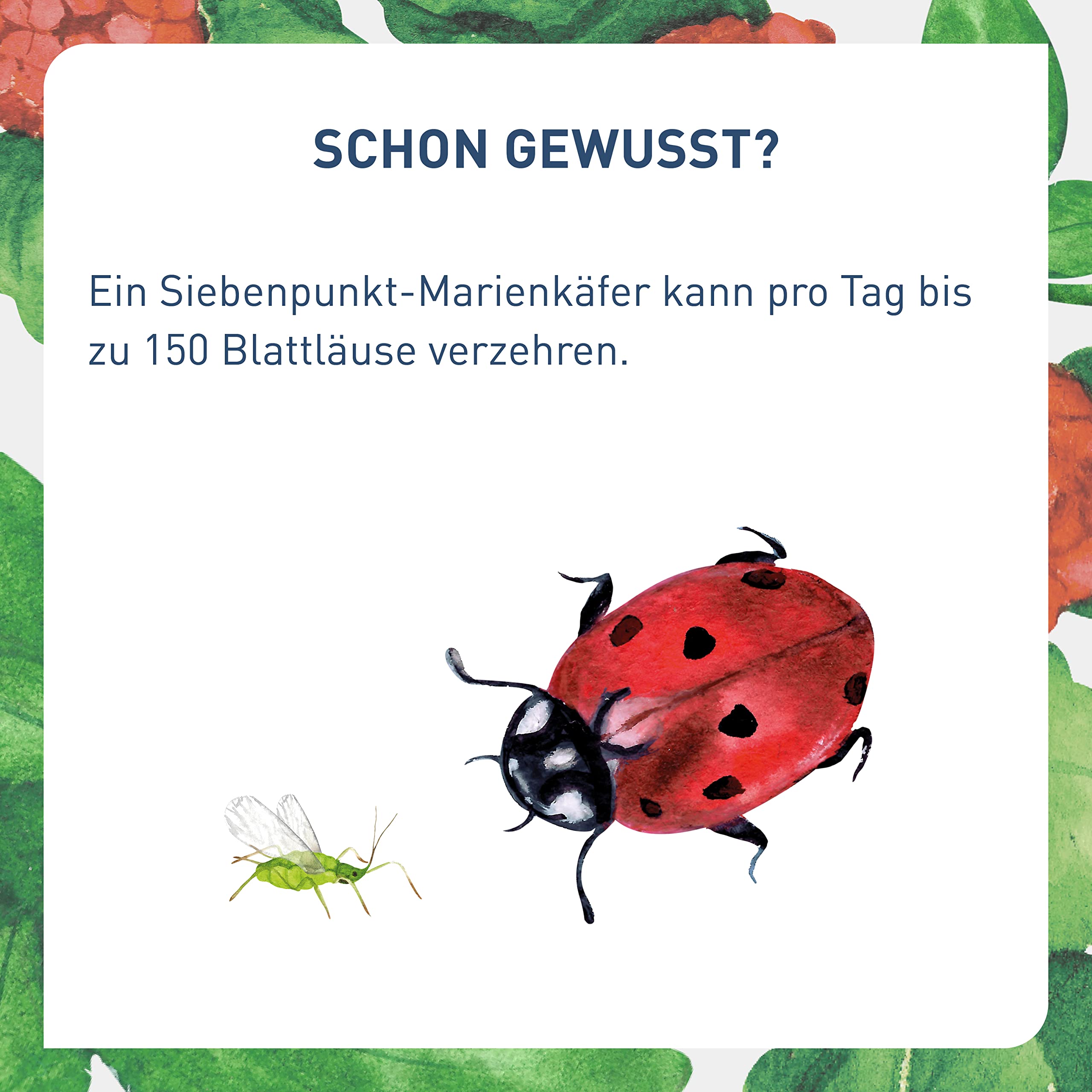 Plantura Siebenpunkt-Marienkäfer gegen Blattläuse, wirksam & nachhaltig, 10 Nützlinge