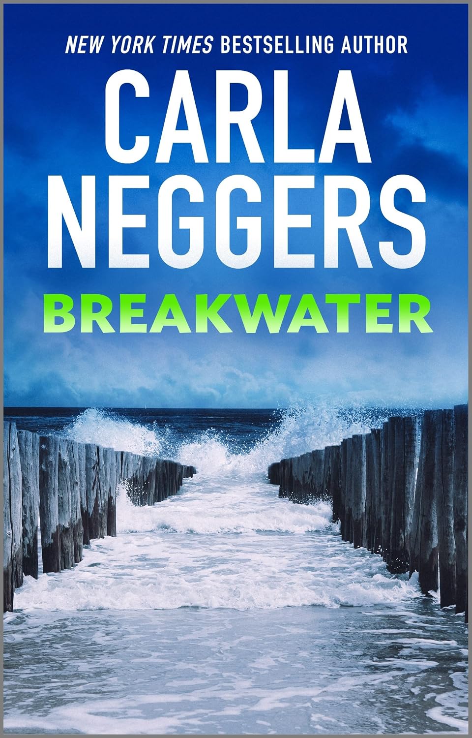 Breakwater: A Compelling Romantic Suspense Novel of Murder and Betrayal in a Bayside Town (Cold Ridge Book 5)