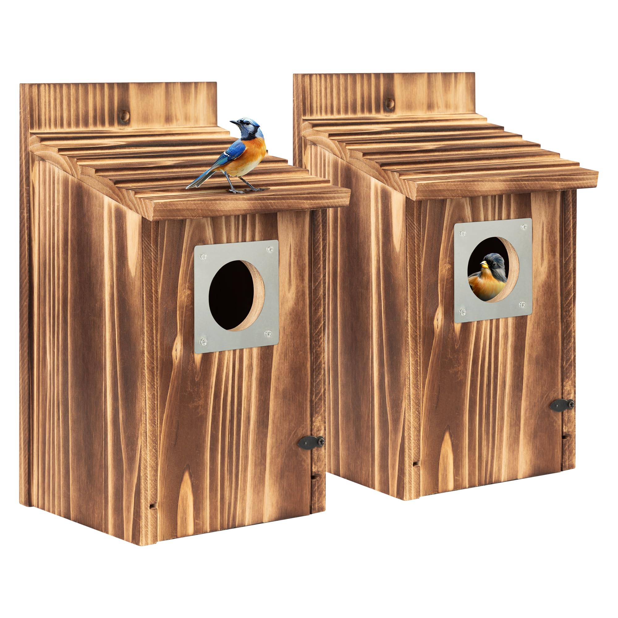 Paquete de 2 casas para pájaros para exteriores con protector de depredador de metal para pinzón de golondrina de pájaro azul, cajas de anidación de madera carbonizada para exteriores, casa de pájaros