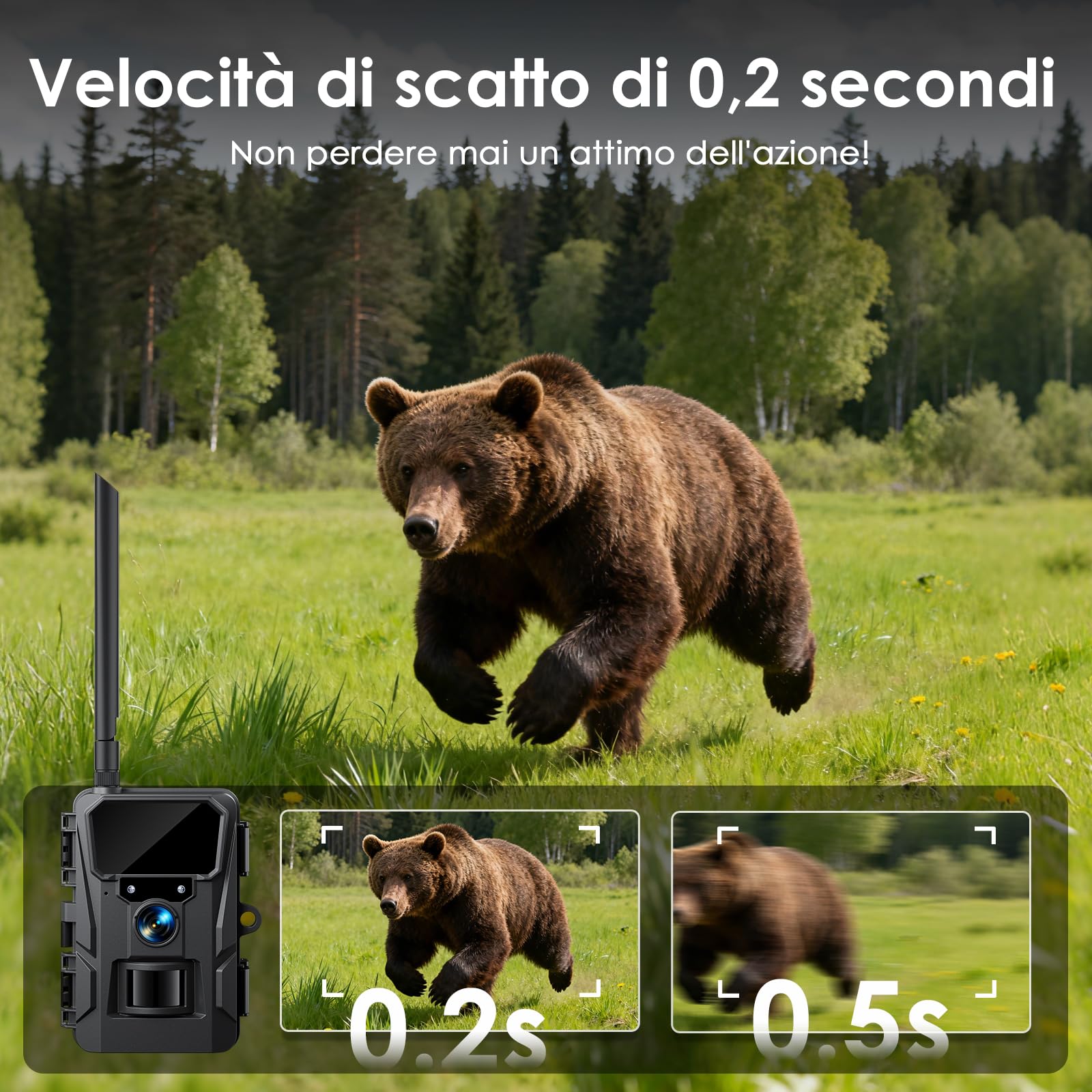 WOLFANG Fototrappola 4G LTE Solare 2K con Scheda SIM e 64GB SD, Visione Notturna, IP66, Nero