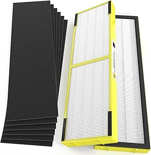 2 Packs Plastic Frame FLT4825 True HEPA Filter B for Guardian AC4825 AC4300 AC4800 AC4850 AC4900 CDAP4500 Air Cleaner Purifier & 6 Replacement Carbon Pre-filters