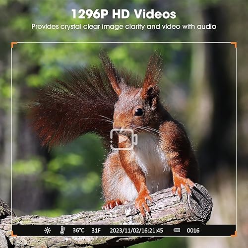 Miniatura 4 de Cámara de rastro WiFi 1296P 24MP Cámara de juego clara visión nocturna activada por movimiento, velocidad de disparo 0.3S, detección gran angular de