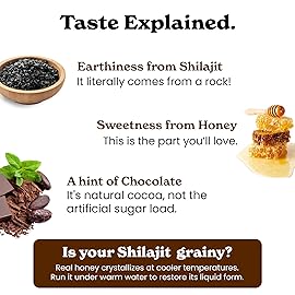 Better Alt Chocolate Shilajit Honey Sticks - 75% Fulvic Acid & 85+ Trace Minerals - Chocolate-Infused Raw Honey - Himalayan Shilajit Energy Booster - 30 Sticks - Natural Stamina & Endurance Support