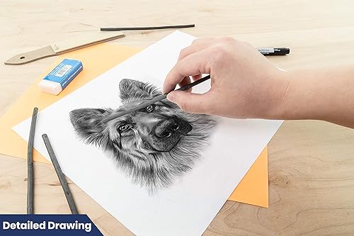 Miniatura 8 de Pacific Arc Artist Vine Charcoal - 4 palitos de carbón suave, negro para dibujar, dibujar y dibujar