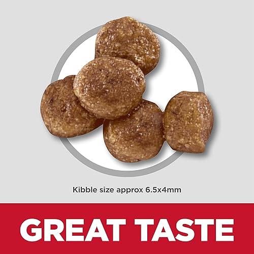 Miniatura 4 de Hills Science Diet Alimento seco para perros cachorros bocados pequeños harina de pollo y receta de cebada