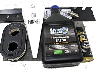 Engine Tune-Up Kit and Fuel Treatment (Replaces Toro Recycler with Briggs and Stratton Exi)