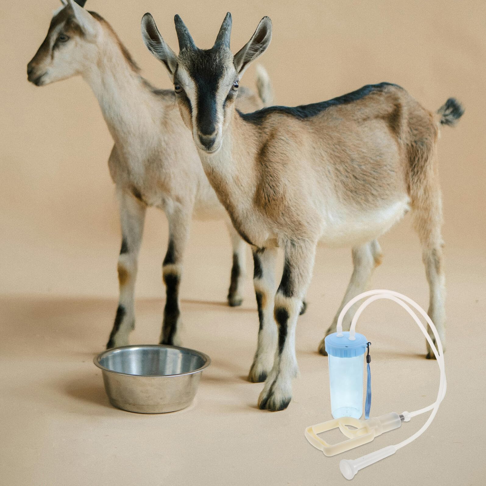 Homoyoyo Ordeñadora Manual Portátil para Ovejas 1 Unidad con Bomba de Succión Equipo Veterinario Reutilizable para Granjas y Manejo de Rebaños