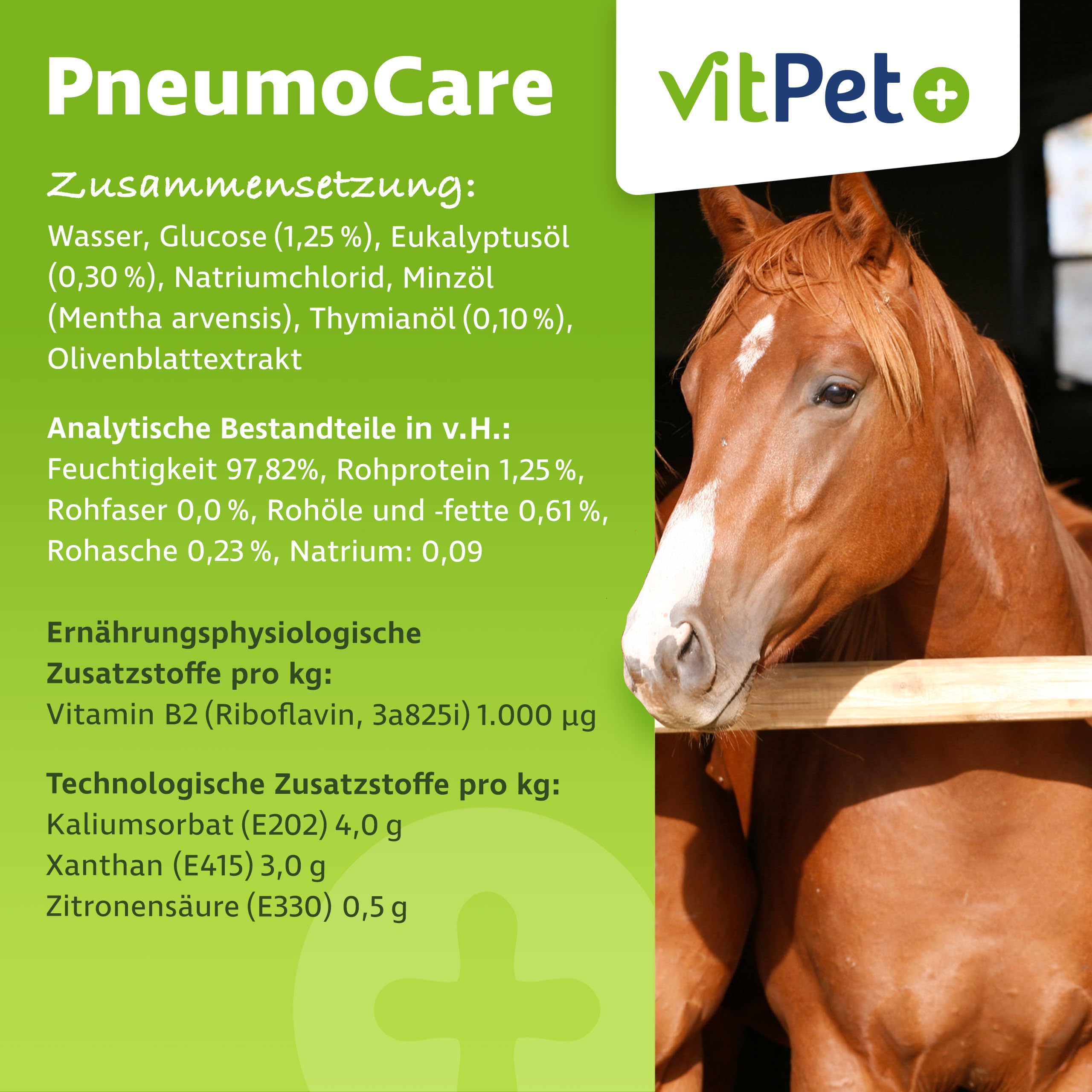 PneumoCare – Hustensaft für Pferde – 1000 ml – Bei Husten Pferd – Schleimlösend und beruhigend – Mit Eukalyptus, Thymian und Olivenblattextrakt – Unterstützt Bronchien und Immunsystem