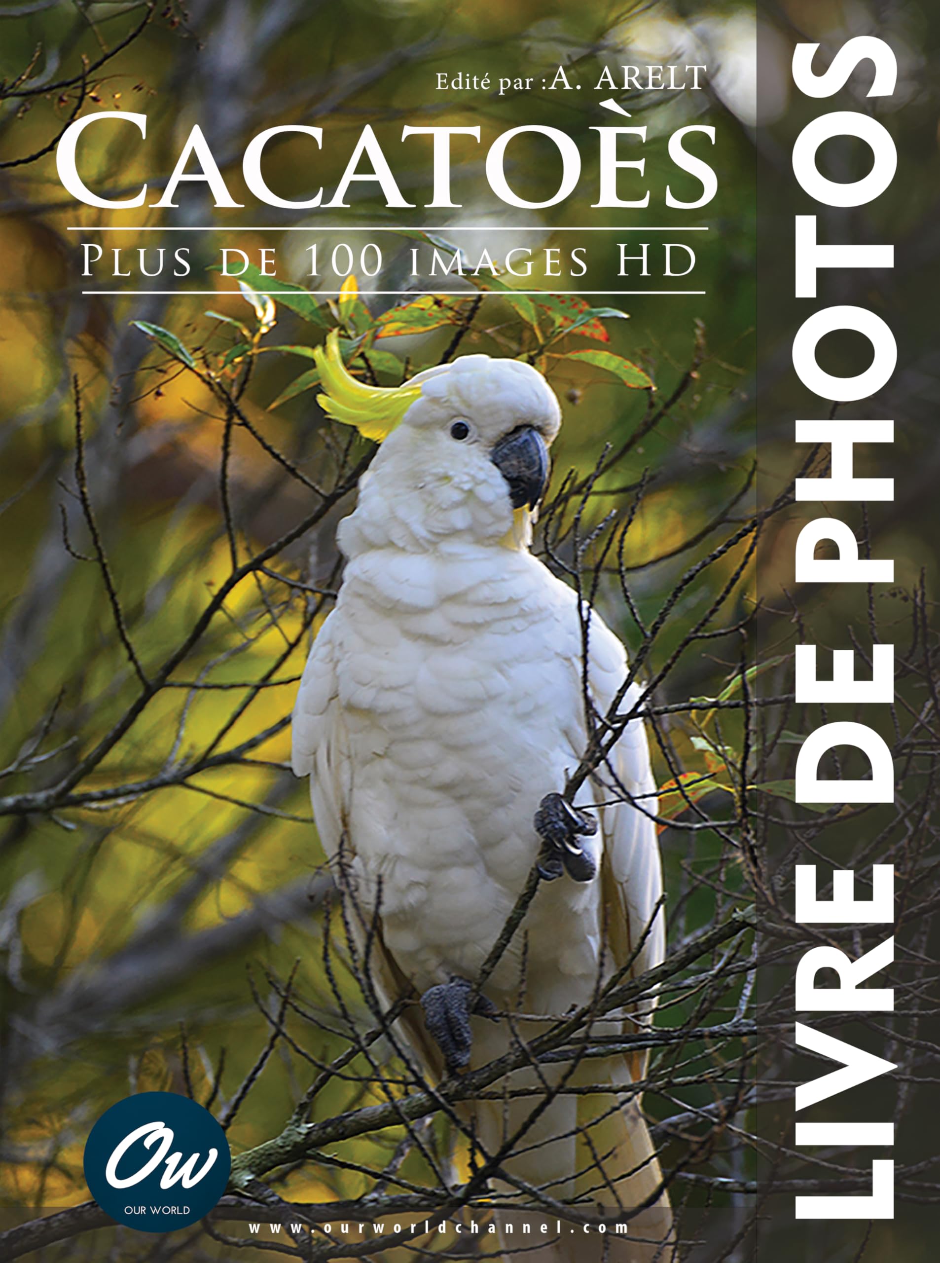 Cacatoès : Livre de Photos avec plus de 100 images HD de perroquets
