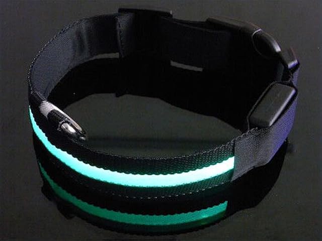 Foto 4 de 7 de Collare LED per Cane USB Ricaricabile, Lampeggiante, visibilità (Nero XL)