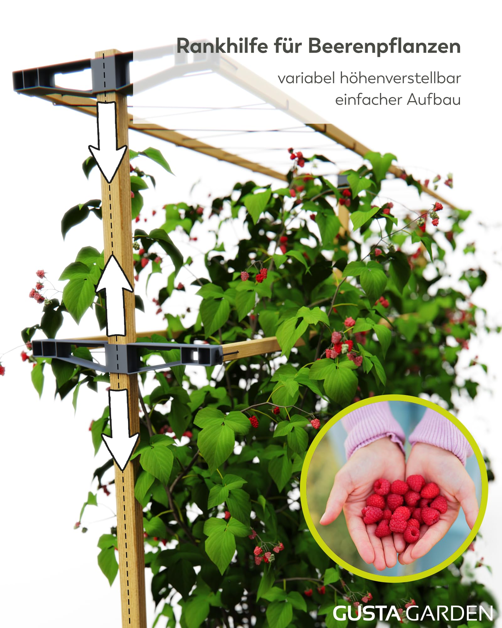 Gusta Garden Berry Buddy - Flexible Rankhilfe für Beeren: Himbeeren, Brombeeren & Heidelbeeren, erweiterbar, produziert in der EU, Rankgitter aus Holz (240cm)
