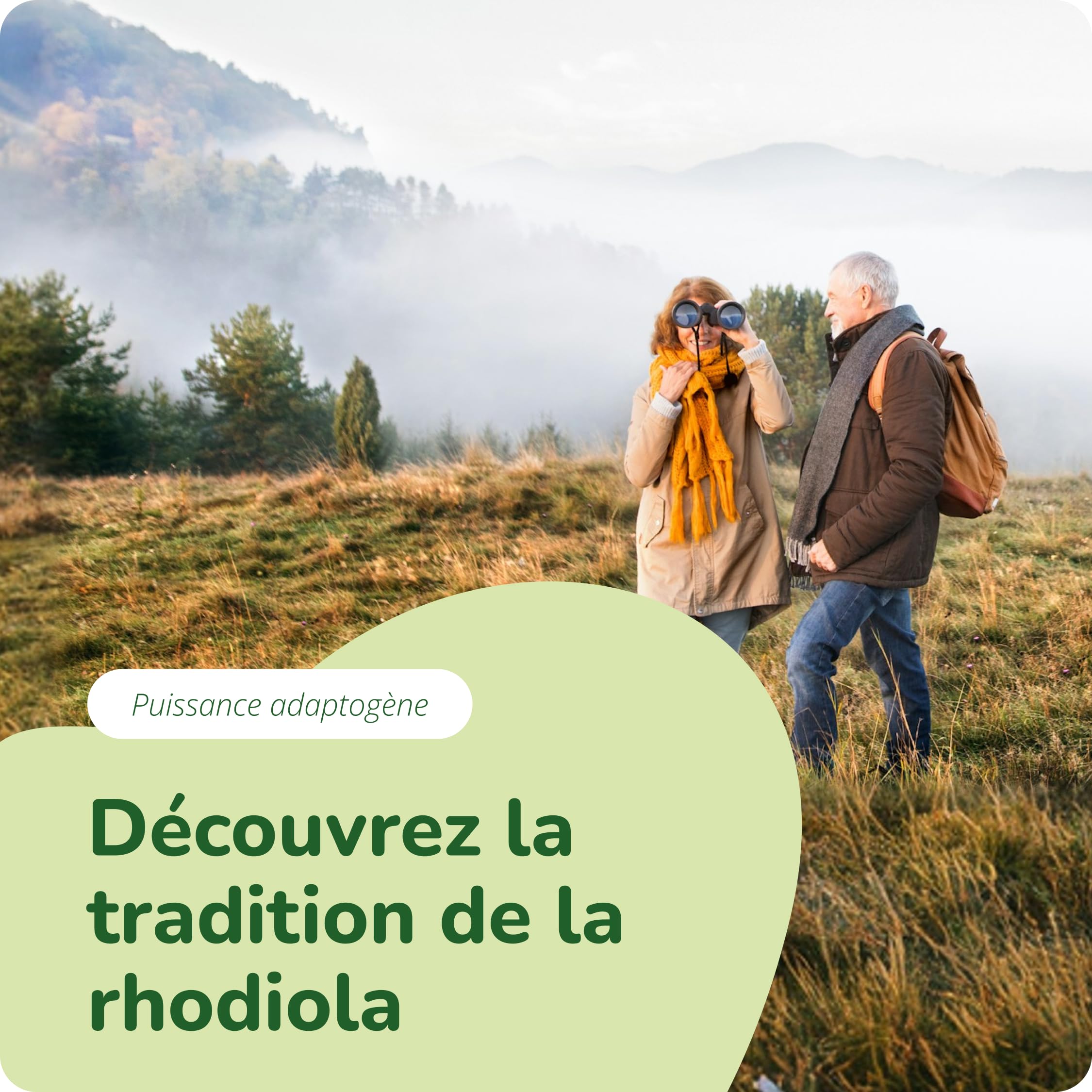 Rhodiola Rosea Vegavero® | 1200 mg (Extrait 6:1) | 120 Gélules (4 MOIS) | Anti Stress + Fatigue + Mémoire | RHODIOLIFE® | 3% Rosavine + 1% Salidroside | SANS ADDITIFS et VEGAN