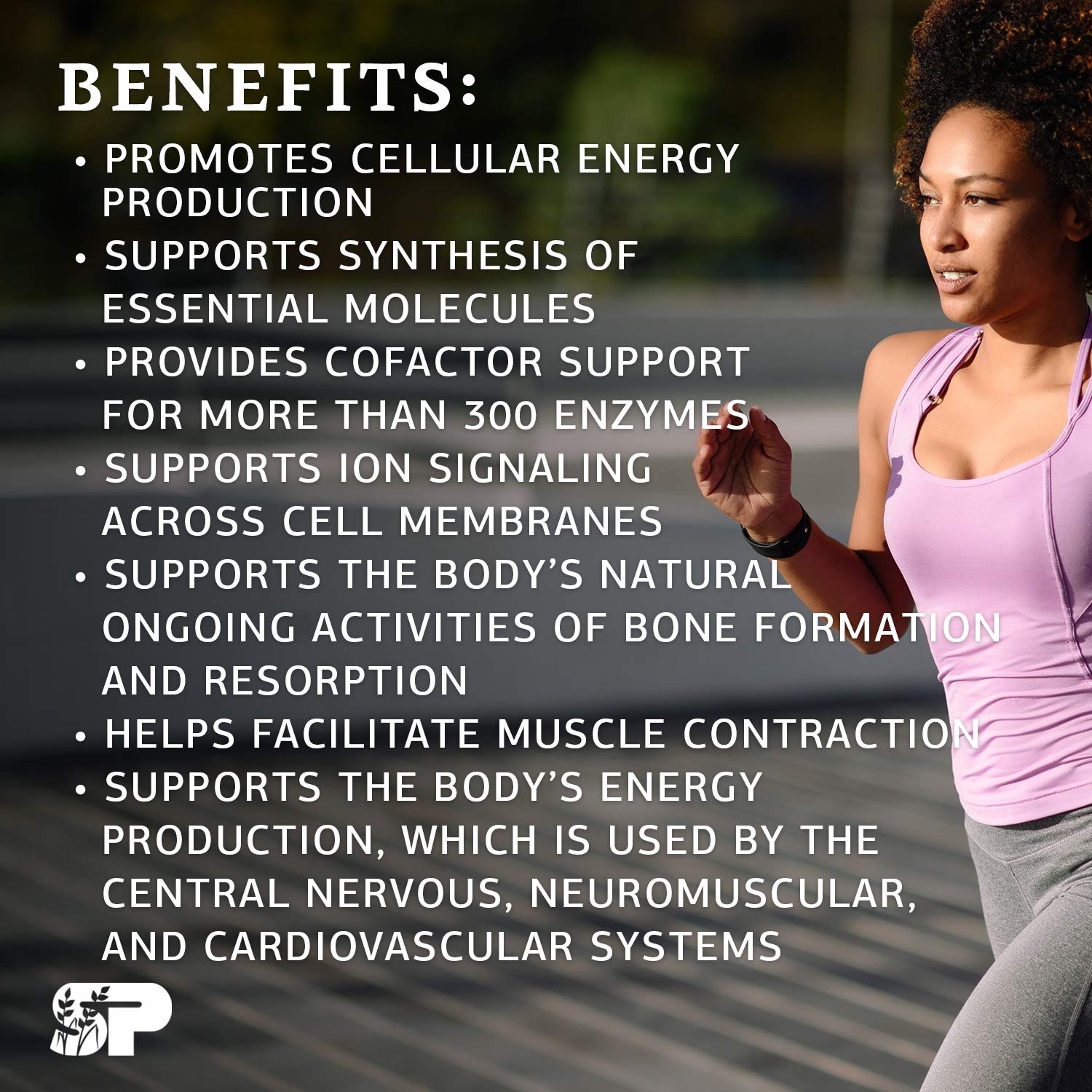 Standard Process Magnesium Lactate Whole Food Energy, Bone, and