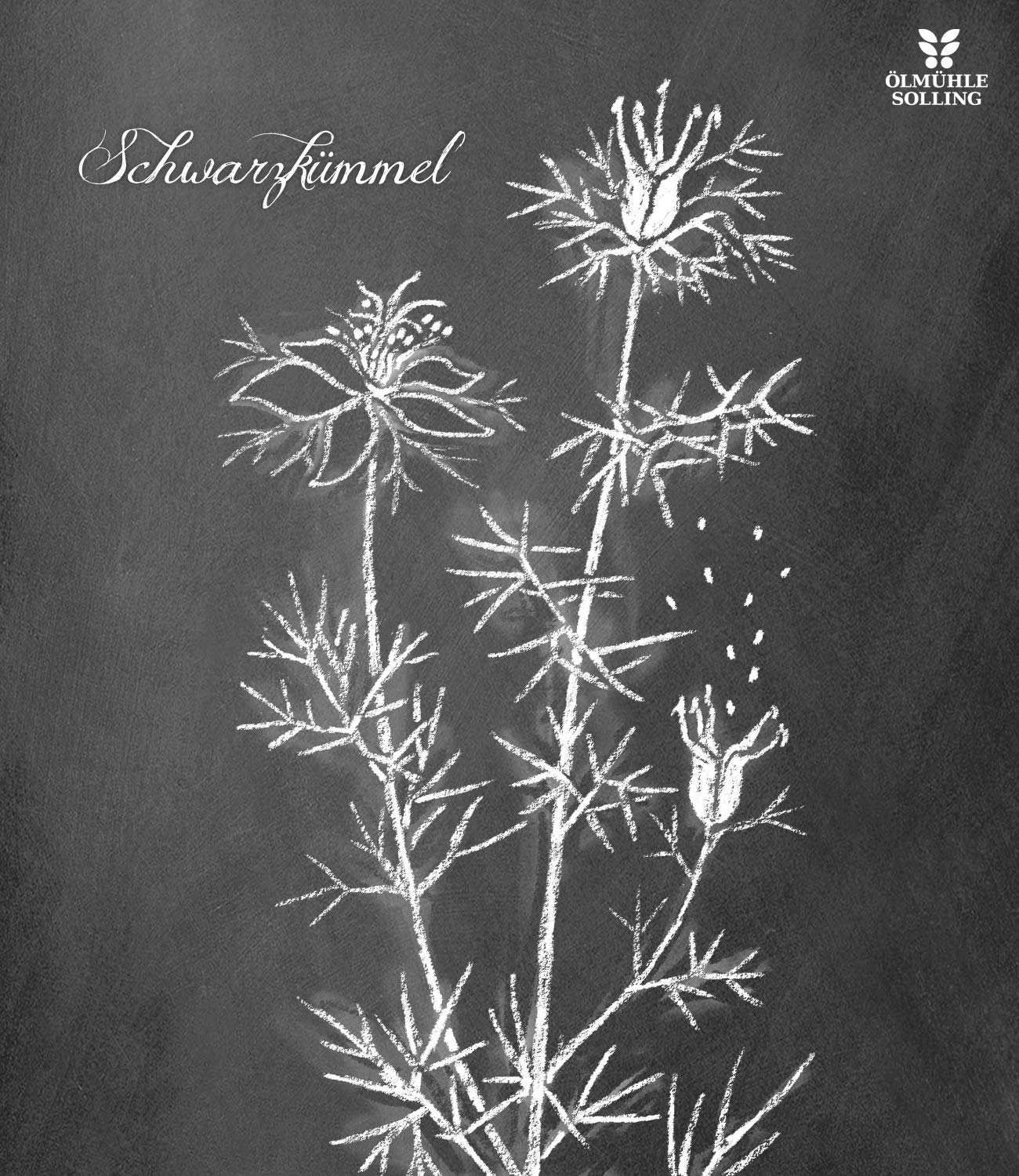 Ölmühle Solling Schwarzkümmelöl ägyptisch - Nigella Sativa - nativ - kaltgepresst - BIO, 1er Pack (1 x 500 ml)