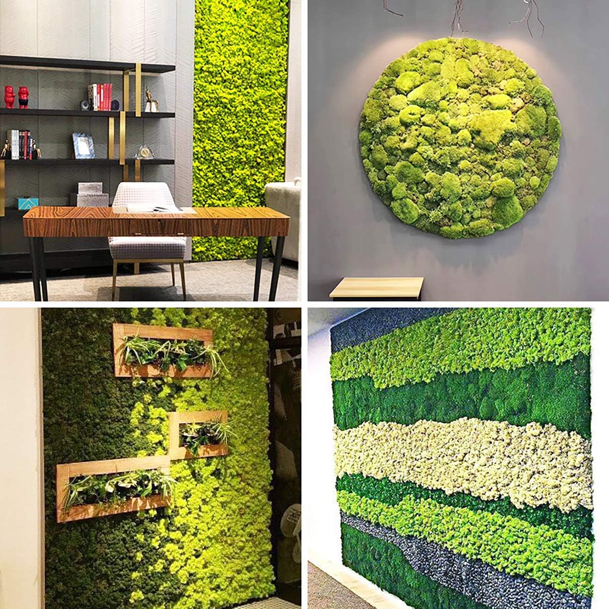 Queenbox 0.7oz/20g Artificial Moss for Indoor, Resin Fake Plants Greenery Wall Lawns Turf Carpets for Floral Panel, Home, Craft Decor, T08