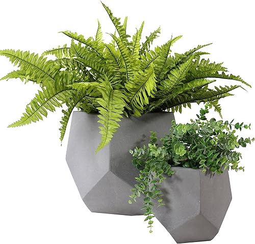 Sunnydaze Juego de macetas de hormigón para interiores y exteriores, 2 macetas de hormigón ligeras para plantas, polvo de luna
