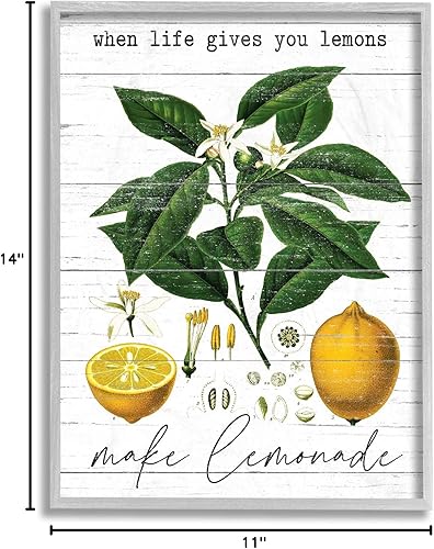 Miniatura 7 de Stupell Industries Life Gives Lemons Quote Country Fruit Anatomy, diseño de arte de pared enmarcado en gris con letras y líneas, 11 x 14, blanco roto