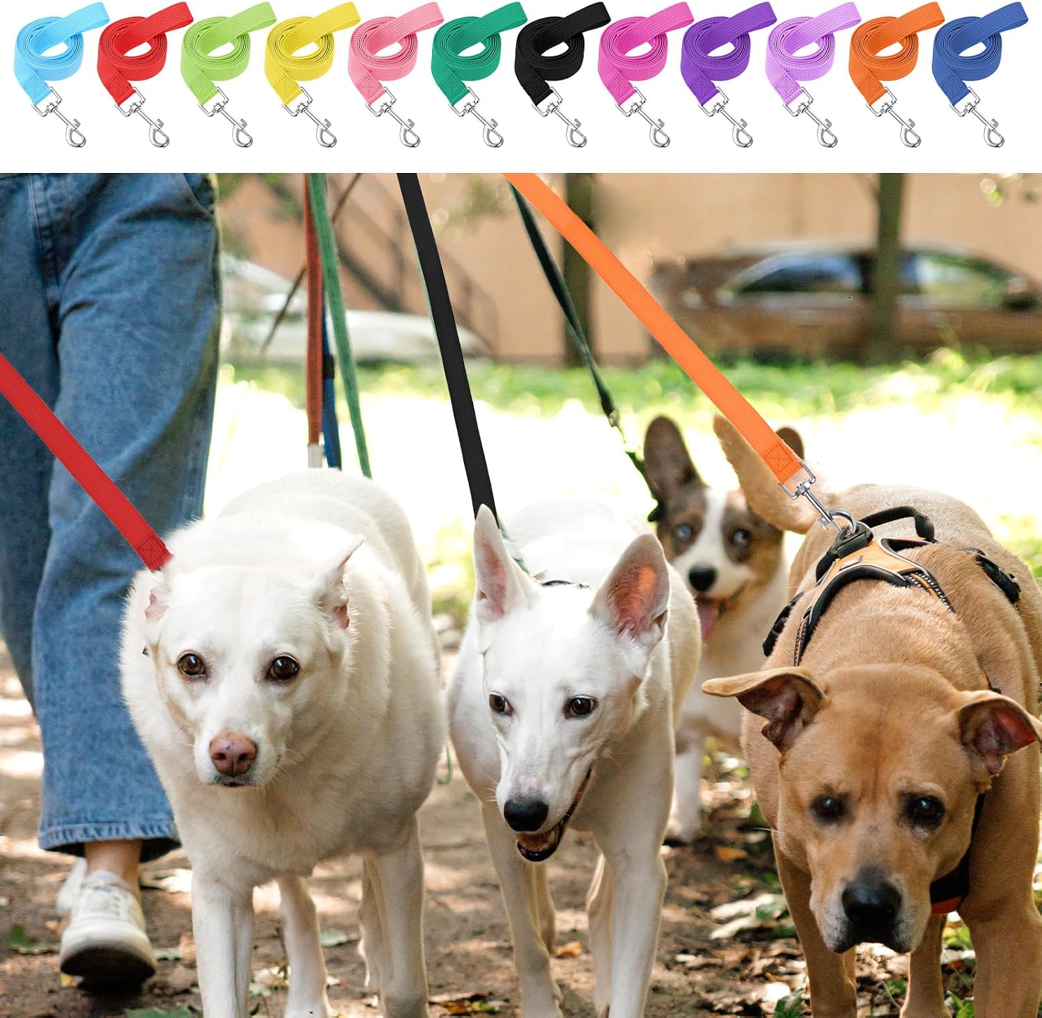 24 Pcs Dog Leashes for Small Medium Large Dogs, 5FT Lead Short Dog Leash with Swivel Hook for Walking, Training, Hiking, Shelter, Outdoor (12 Colors)