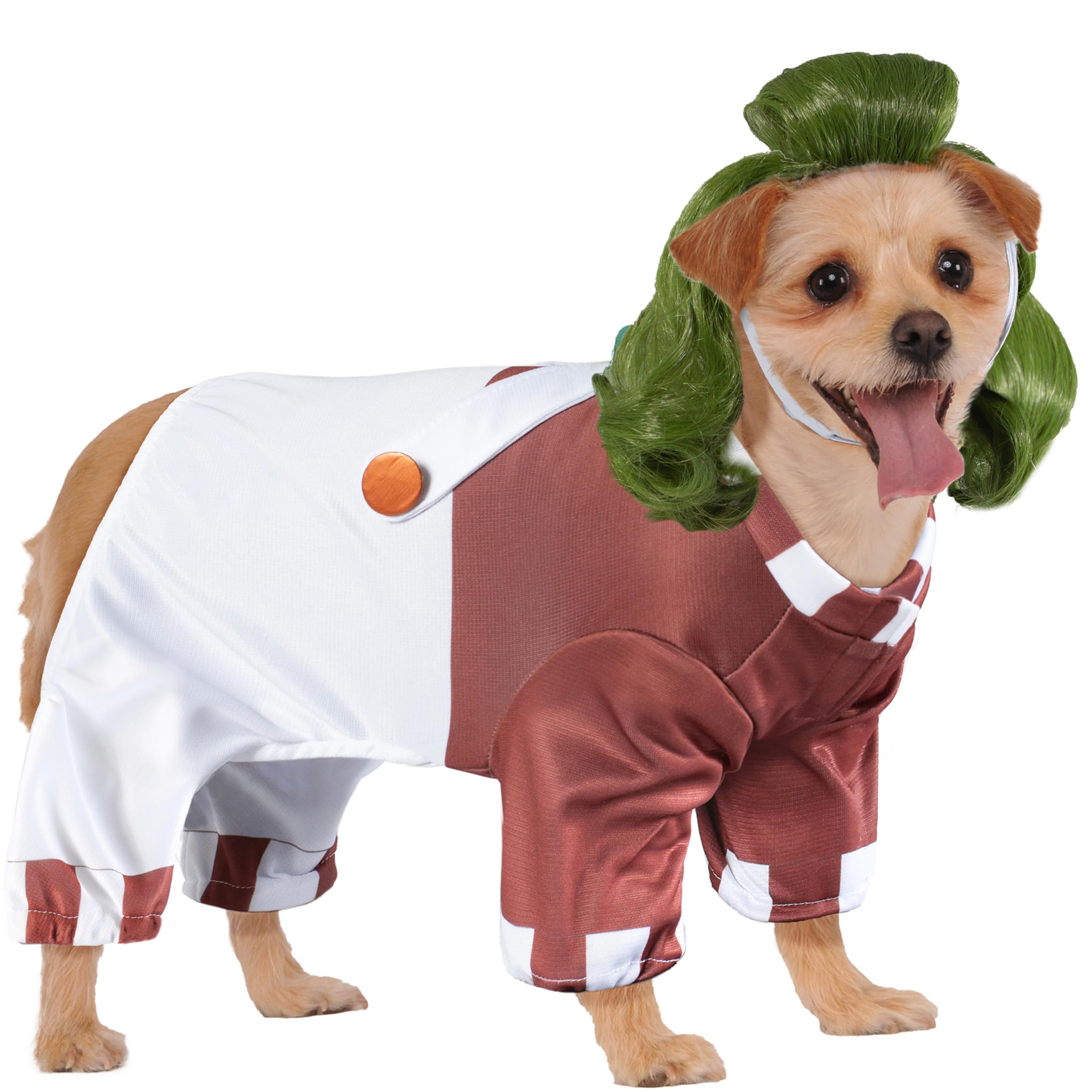 Costume Willy Wonka pour chien Rubies idéal pour Halloween et fêtes