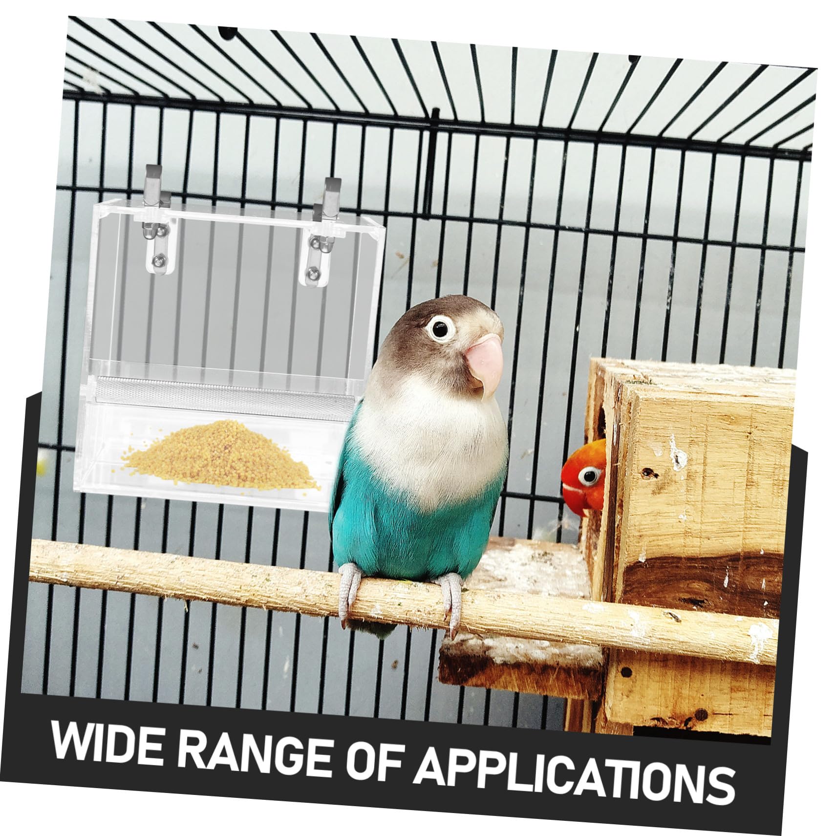 Mangeoire à Oiseaux Automatique pour Perroquet, Suspendue, Plastique