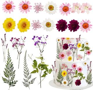Morofme Wildflower Cake Toppers Flowers Cake Decorations Spring Cupcake Toppers Wildflower Theme Cake Decoration Baby In Bloom Baby Shower Dried Pressed Flower for Birthday Wedding Party Supplies